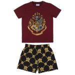 Harry Potter Piżama Piżamka 128 8 Lat Hogwart Cerda | Sklep EMPIK.COM